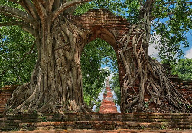 วัดพระงาม